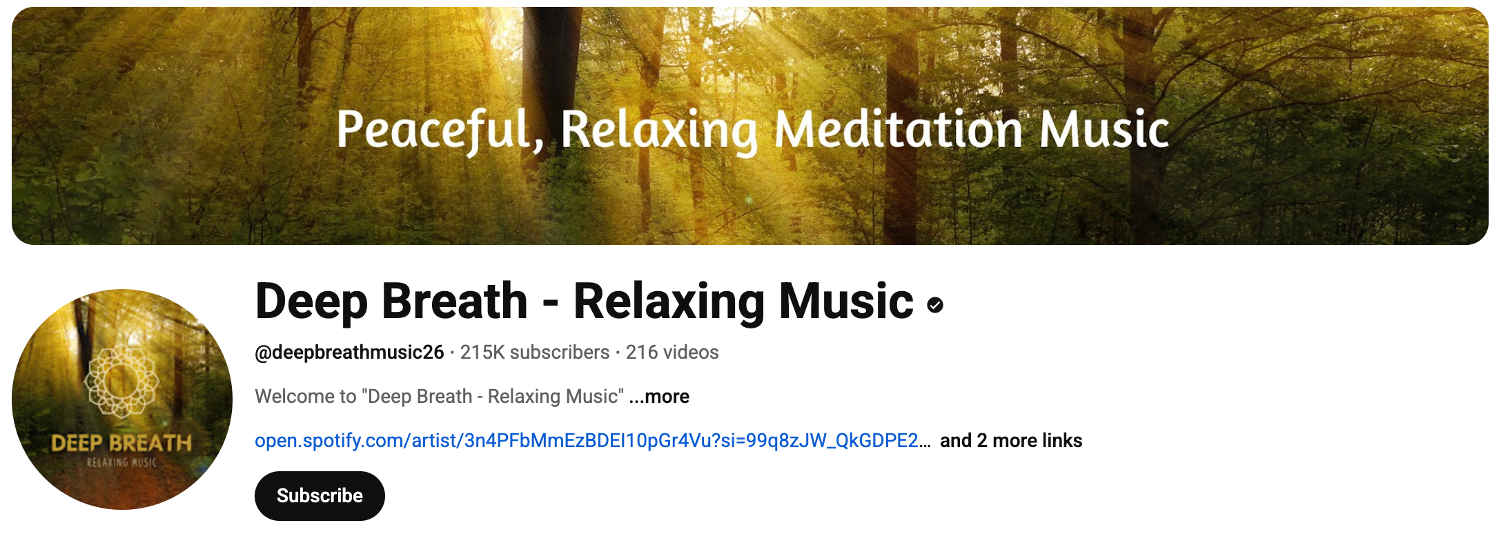 YT channel-9.png