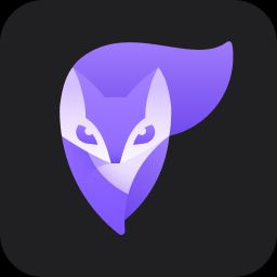 Photoleap FaceSwitch logo